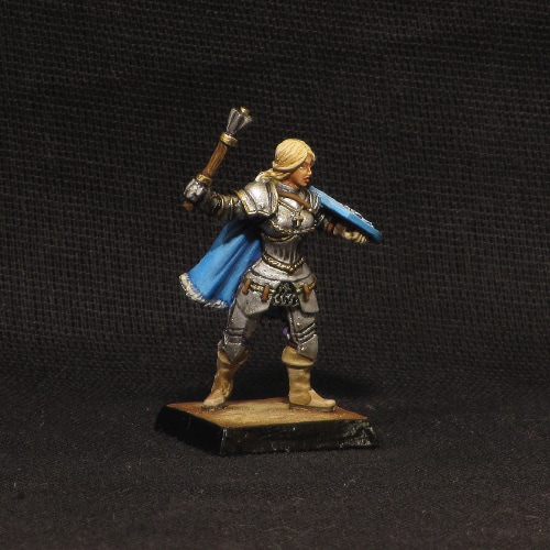 Female Paladin in Armour